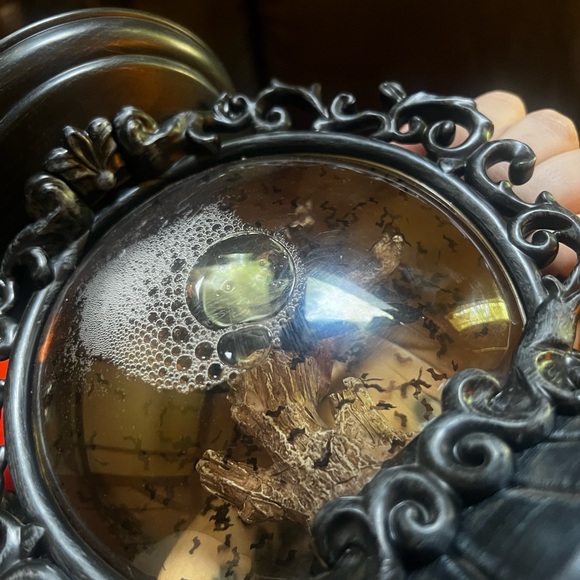 Bath & Body Works Halloween Crow/Bat Candle Holder - Picture 7 of 12